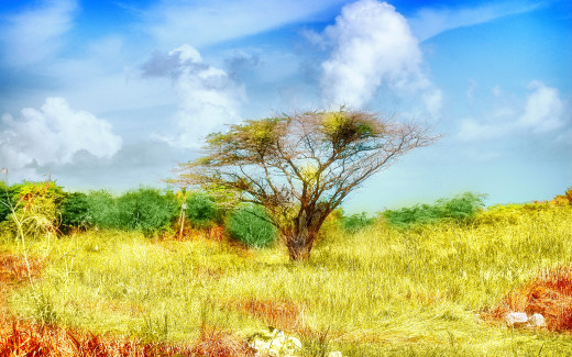 464599 (a): :1920x1200